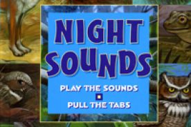 “Night Sounds,” by Frank Gallo, is priced at $18.99; “Bird Songs – 250 North American Birds in Song,” by Les Beletsky, is $45.00. To order, contact Eastern National, 210 Riceville Rd., Asheville, N.C. 28805, 828/299-3507, karens@easternnational.org.