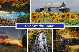 764472e6-96f9-11e6-84b5-0aea2a882f79-Oct_21_Collage