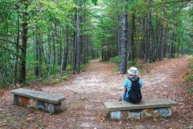 76f6cda0-c77f-11ea-b022-1244d5f7c7c6-9