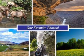 79203b6a-0272-11e6-aa3f-22000b078648-Collage