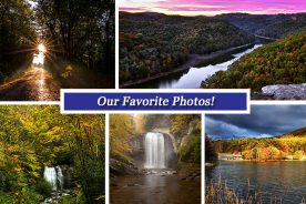 7b010632-bff7-11e7-acac-121bebc5777e-Collage