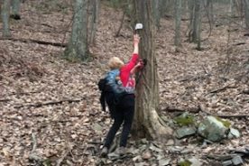 Gail reaching for the wacky phone on the Hi Dee Ho Trail.