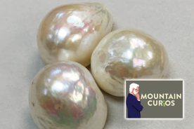 The promise of pearls was strong on the Clinch River for about 40 years, until the advent of hydroelectric dams and plastic buttons brought it to an end.