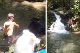 Left: Grandson and puppy both head for the cool water. Right: Grandson Aden demonstrates the joys of a swimming hole along Lower Hoop Hole.
