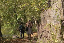 7c89ceb4-8bf2-11e7-ba5e-0a72cbefeab2-Pioneer-Path