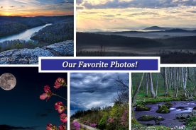 7cfc0d58-25ef-11e7-b66e-0aea2a882f79-Collage