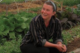 Elora Overbey picks supper spinach in the greenhouse.