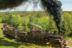 Shay #6 hauls freight to Bald Knob.