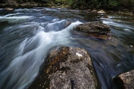 The Chattooga River, on the Georgia/South Carolina border, earns well its Wild and Scenic Designation.