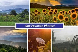 7ff795f0-6aeb-11e6-9584-0a53cdaf7da3-August26_collage