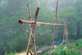 Bamboo and Twine