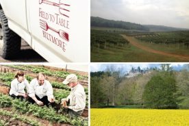 8215d9d4-e2d2-11e4-a8c3-22000a4f82a6-BiltmoreWeb