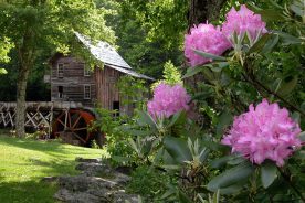 82ad3bbc-a134-11e2-9ed7-1231394043be-ER_WV_MJ_06