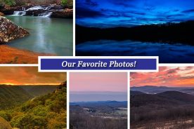 82b8b308-fa08-11e6-8525-0aea2a882f79-Collage