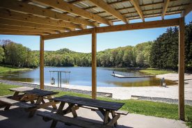 83dff2ea-3fe7-11f0-9d71-12163087a831-Beach-Answers-Beech-Jokes