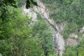 Yes, it's there... Bent Mountain Falls, there behind the trees.