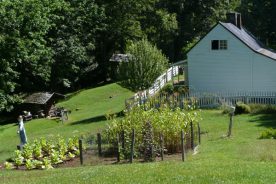 84949afe-ba3d-11e5-a901-22000b078648-JohnsonFarm