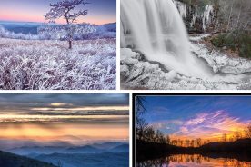 84e61792-a302-11e4-8a45-22000a4f82a6-Collage