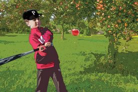 85acf80a-482e-11ee-abff-12163087a831-AdobeStock_75627220