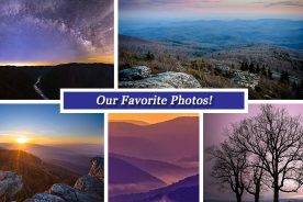 8768ba12-ec6f-11e5-866b-22000b078648-Collage