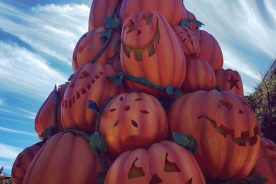 Dollywood’s Harvest Festival
