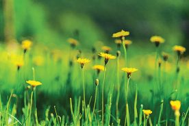 88aca3cc-0210-11f1-8fb5-1248ae80e59d-GettyImages-2235371537MillCreek2