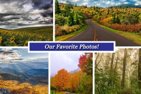 8a1b2ca0-6848-11e5-8770-22000b078648-Collage