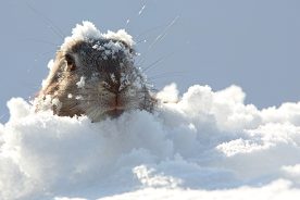 8a8960c2-144c-11e9-adb7-120e7ad5cf50-AdobeStock_131456474