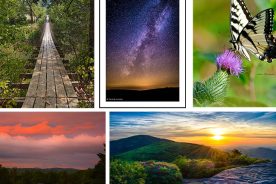 8b19fb2c-23f7-11e4-9661-22000a4f82a6-Collage