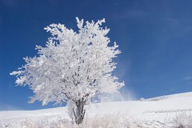 8b48bf60-3ee4-11e2-808f-1231394043be-WD0111