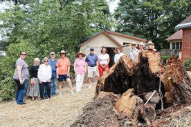 The stump of the fallen Shanks Oak in Jonesborough, Tennessee, is celebrated by about 20 people who gathered soon after the 700-year-old tree was felled by a storm.