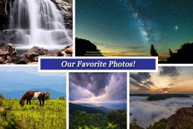 8e46448e-20bf-11e5-899c-22000b078648-Collage