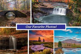 8e4b6452-cb15-11e7-8061-121bebc5777e-Collage