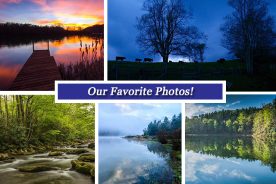 8eb7803e-f4ed-11e4-ba5b-22000b078648-Collage