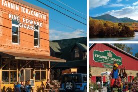 900e5cd8-e2e5-11e4-a05e-22000a4f82a6-BlueRidgeGAweb