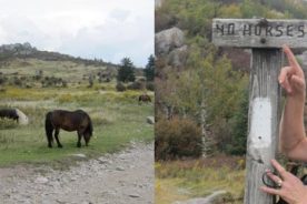 We saw a few wild ponies along the Appalachian Trail, and soon after that we saw this sign, about which Gail said, "I sure hope the ponies can read!"
