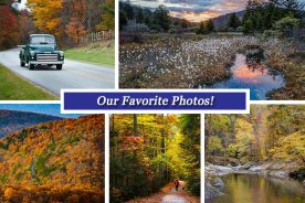 90f4c548-7e7a-11e5-9882-22000b078648-Collage