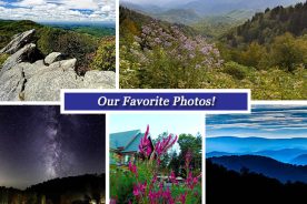 91136152-8670-11e6-a537-0a161eac8f79-Collage_Sept30