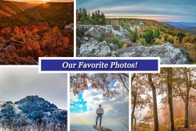 91964274-b80d-11e6-98be-0aea2a882f79-Collage