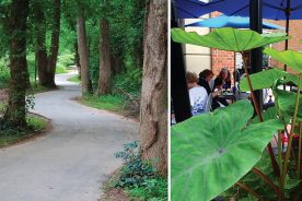 Left: The Rivanna Trail curls its way elegantly around and through Charlottesville. 

Right: The Downtown pedestrian mall offers a bounty of dining and shopping options.