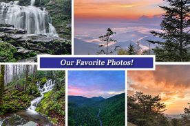 93840f66-100b-11e7-8a0e-0aea2a882f79-Collage