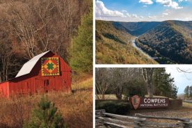 9392e6e8-8bf4-11e7-a3e3-0a72cbefeab2-Themed-Drives