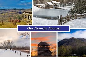 94ce92c6-e403-11e6-bab1-0aea2a882f79-Collage