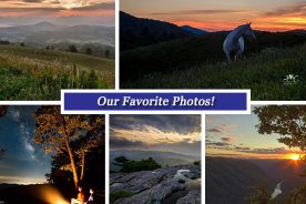 963e52ce-3cff-11e5-a1d9-22000b078648-Collage