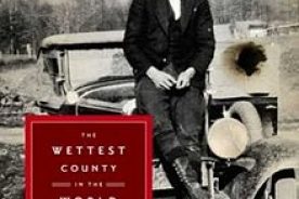 The book "The Wettest County in the World" was the inspiration for the movie "Lawless."