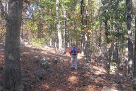 The Day Hiker, ahead as always, on one of the trails of the Grassy Hill Natural Area Preserve.
