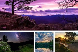 98f833a6-08fb-11e4-b4a9-22000a4f82a6-Untitled-1