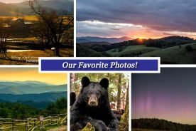 992393ac-998a-11e7-ad54-121bebc5777e-Collage