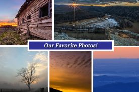 999dd174-ce69-11e4-b5bd-22000a4f82a6-CollageFB