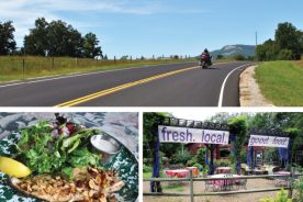 99b464ee-e2e0-11e4-8dd7-22000a4f82a6-LandrumSCweb